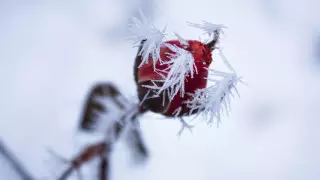 30-градусные морозы без осадков. Какая погода ожидает казахстанцев 21 января