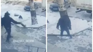 В Талдыкоргане мужчина швырнул котенка об дерево, затем вернулся и добил
