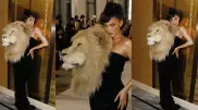 "Чучела" льва, барса и волка – почему все обсуждают безумный показ Schiaparelli