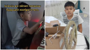 Пятиклассник из Костаная восхитил Казнет своей изобретательностью