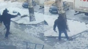Швырнул котенка в дерево: подозреваемый задержан в Талдыкоргане