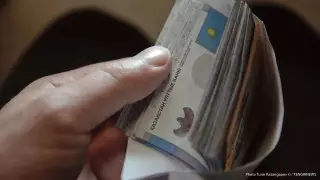 Сотрудники Комитета лесного хозяйства изобличены в коррупции