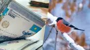 Что изменится в жизни казахстанцев в феврале