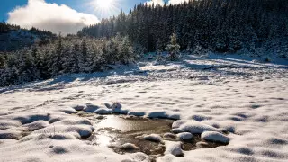 Потепление до 12 градусов: какая погода ожидает казахстанцев 1 февраля