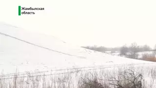 Двое школьников сделали исторические находки на холме в Жамбылской области