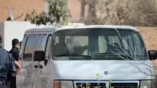 Женщина выжила после нападения льва в Мексике