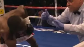 "Апперкот в деле": боксер нокаутировал соперника за несколько секунд