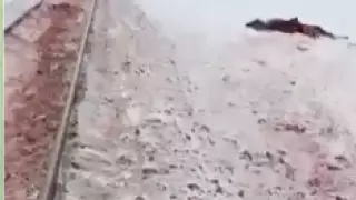 Поезд столкнулся с табуном лошадей в Улытауской области