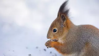 Погода в Казахстане 9 февраля: 30-градусные морозы на севере и сильные осадки на юге