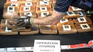 Партию кокаина на полмиллиарда долларов перехватили в Новой Зеландии
