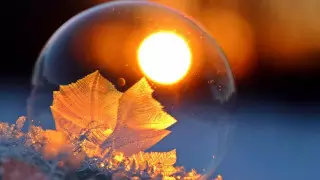 Какая погода ожидает казахстанцев 12 февраля