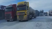 Больше 200 машин скопилось перед закрытой трассой в Туркестанской области