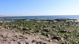 Мраморное море внезапно отступило от берегов в районе Стамбула