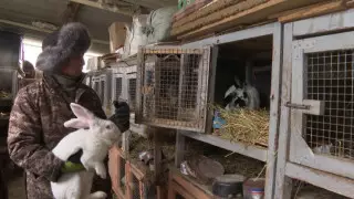 Как крольчонок помог построить бизнес многодетной семье из Алматинской области