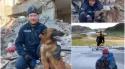 Четвероногие герои из Казахстана. Что известно о собаках-спасателях в Турции