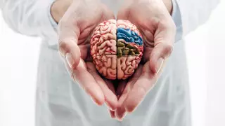 Как травма головы может привести к лобно-височной деменции, или "болезни Брюса Уиллиса"