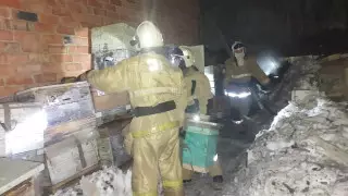 100 тысяч пчел спасли огнеборцы при пожаре в Усть-Каменогорске