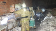100 тысяч пчел спасли огнеборцы при пожаре в Усть-Каменогорске