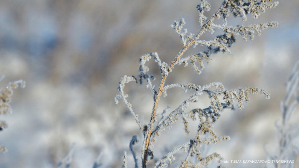 Метели и морозы с дальнейшим понижением: погода в Казахстане 24 февраля