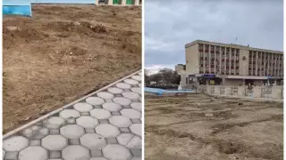 В Актау пропали деревья, которые посадили ко Дню Победы