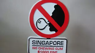 Малина и жвачка? Какие продукты запрещены в разных странах