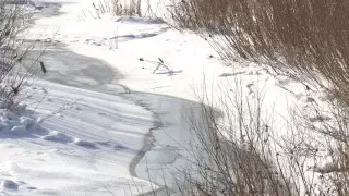 Авария на канализационном коллекторе может спровоцировать вспышку кишечных инфекций в Караганде
