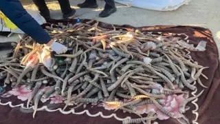 Ущерб на миллиард тенге. КНБ провел спецоперацию в Мангистау