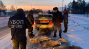 Убили почти 50 косуль: подозреваемых в незаконной охоте задержали в СКО