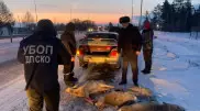 Убили почти 50 косуль: подозреваемых в незаконной охоте задержали в СКО