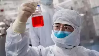 Пекин резко отреагировал на версию ФБР об утечке COVID-19 из лаборатории Уханя