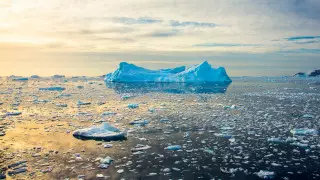 Площадь льда вокруг Антарктиды уменьшилась до рекордного уровня