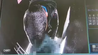 Приставал к девочке в лифте: в Караганде задержали мужчину после роликов из соцсети