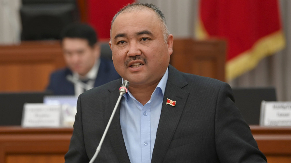 Спикер парламента Кыргызстана раскритиковал НПО