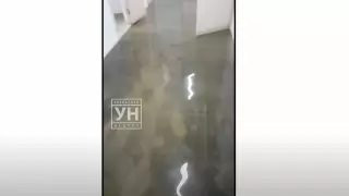 В Уральске затопило медколледж. Студентов эвакуировали