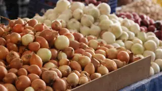 Отмена запрета на экспорт лука не рассматривается - Жумангарин