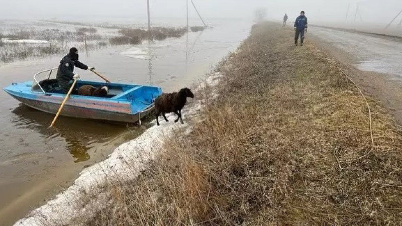 Сайт знакомств для секса в городе уральск казахстан — Девушки проститутки досуг