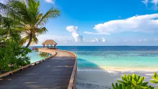 Казахстанцы не смогут летать на Мальдивы: названа причина