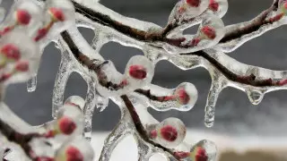 Осадки, метели и похолодание: погода в Казахстане 16 марта