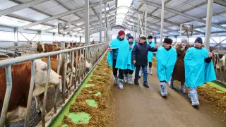 Пример для многих: опыт СКО будут перенимать другие регионы страны