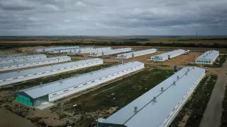 9,9 миллиарда тенге выделено в Костанайской области на поддержку бизнеса