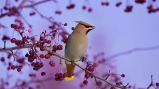 20-градусные морозы, осадки и туманы: прогноз погоды в Казахстане на выходные