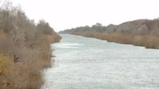 Зараженную паразитами рыбу сняли на видео жители Карагандинской области