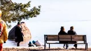 Самая счастливая страна в мире оказалась лидером по смертности молодых наркоманов