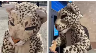 "Снежный барс" пришел проголосовать на выборы в Конаеве