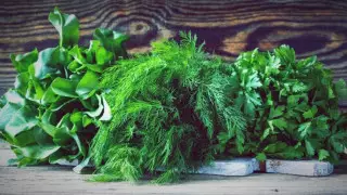 Кладезь витаминов: 4 вида зелени, которые должны быть на каждом столе