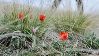 26-градусная жара и дожди: прогноз погоды в Казахстане на выходные