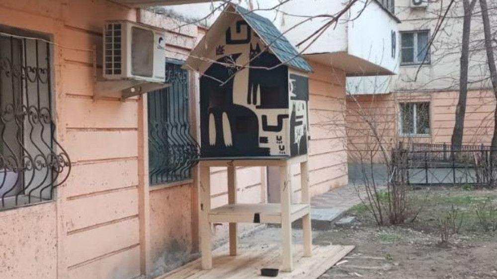 Первый домик для бездомных кошек установили в Алматы