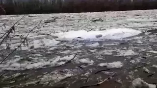 В Уральске дачников попросили быть готовыми оставить свои дома