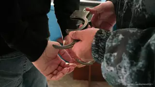 Выпрыгнула с 10-го этажа: троих павлодарцев судят за изнасилование сироты