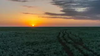 Государству вернули более 500 тысяч гектаров земель в Актюбинской области